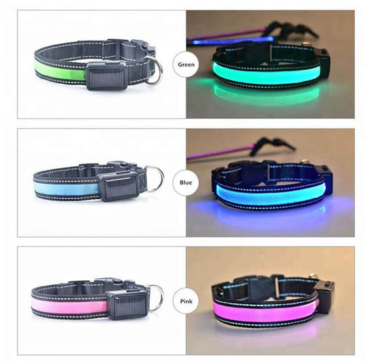 High Visibility Reflective LED Dog Collar Keep your dog visible and safe during nighttime walks with the Solar-Powered LED Dog Collar! $17.57 Kind Nest